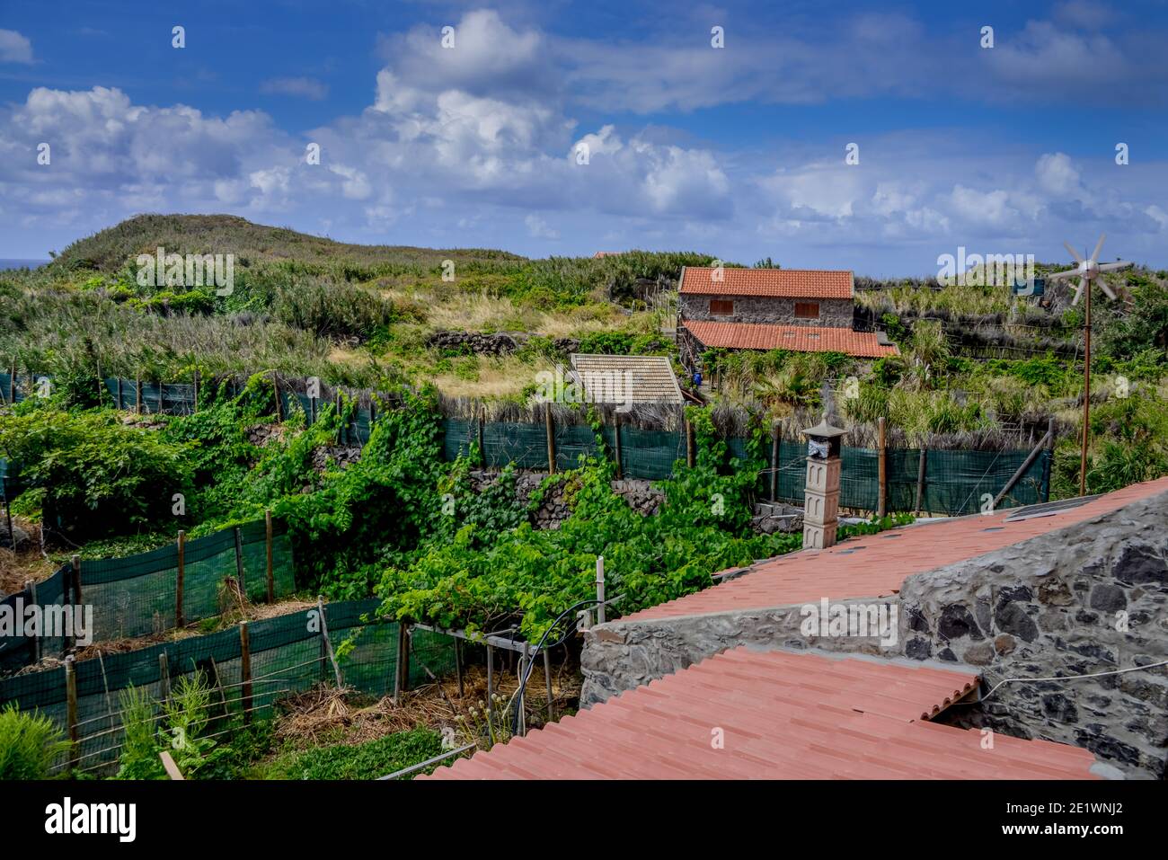 Faja Quebrada Nova, Achadas da Cruz, Madeira, Portugal Stockfoto