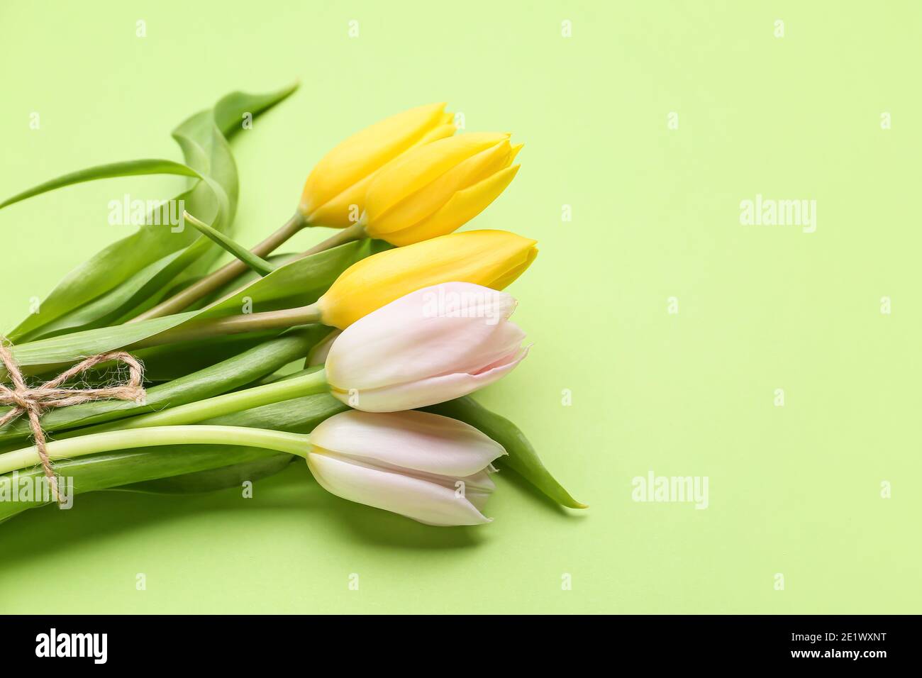 Blumenstrauß aus schönen Tulpen auf farbigen Hintergrund Stockfoto