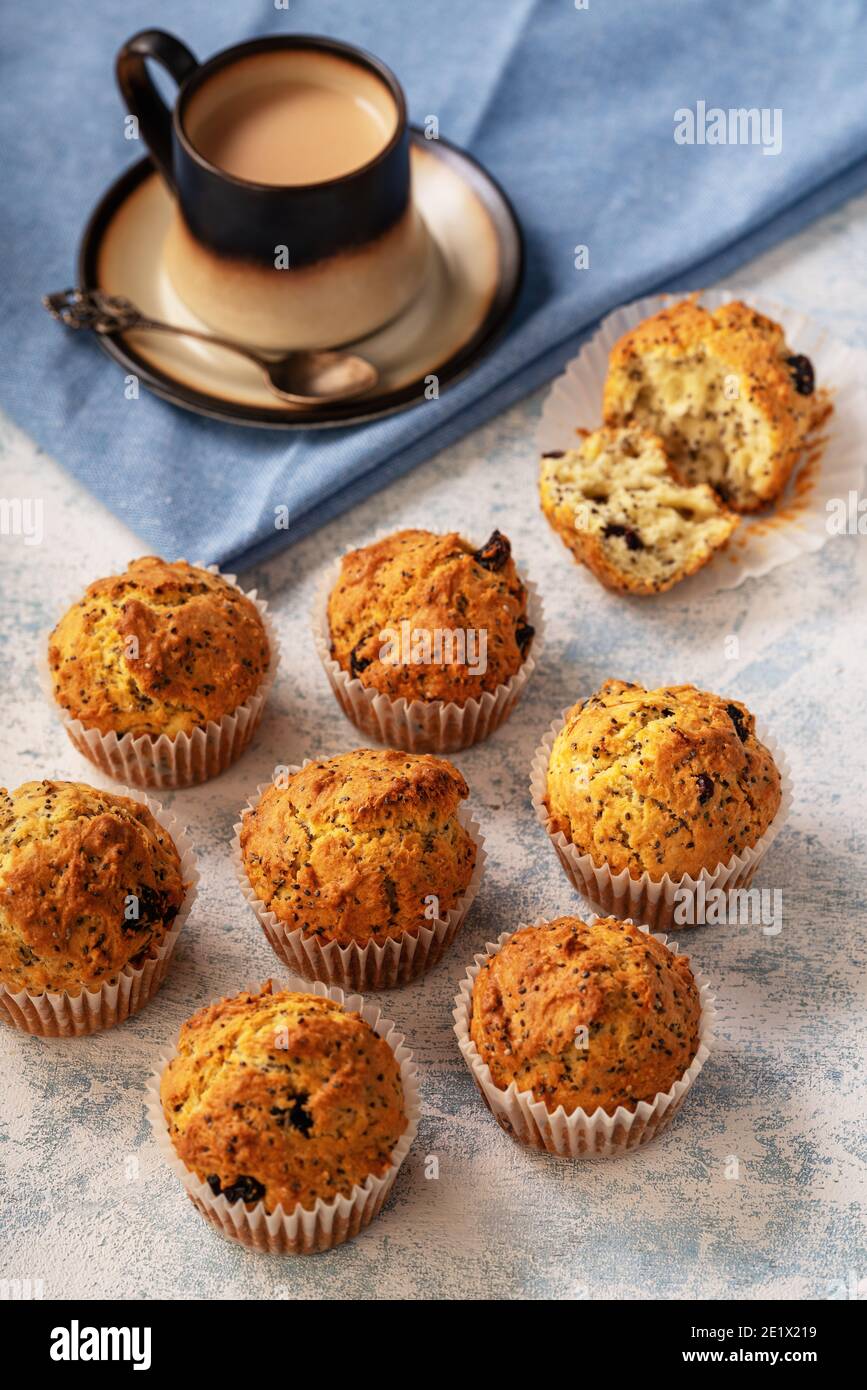 Hausgemachte Chiasamen und Cranberry-Muffins. Stockfoto