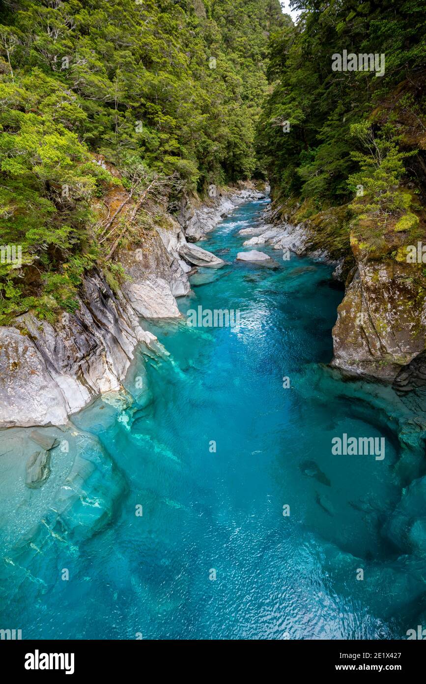 Blue Pools Rock Pool, Makarora River, türkisfarbenes kristallklares Wasser, Haast Pass, Westküste, Südinsel, Neuseeland Stockfoto