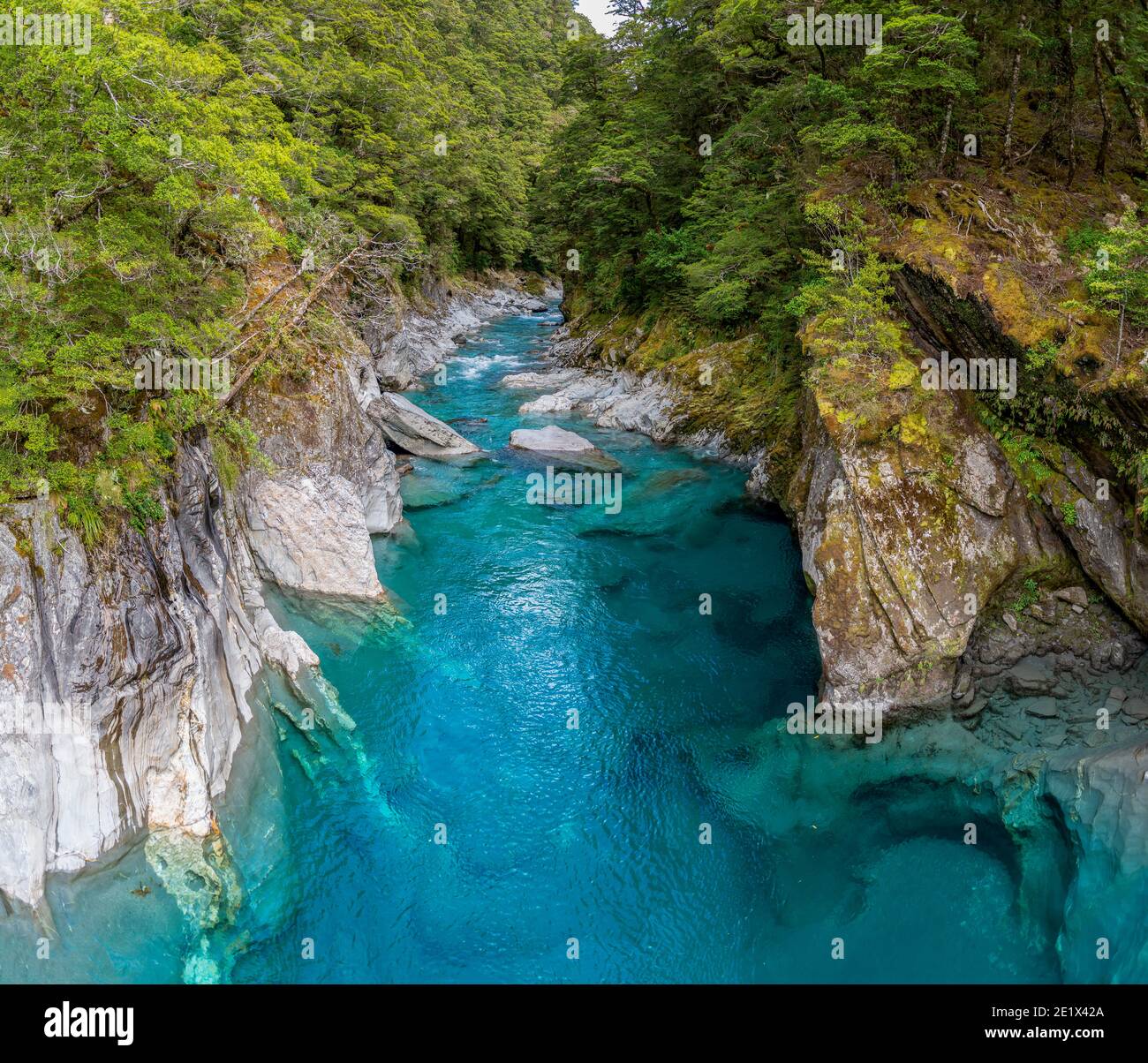 Blue Pools Rock Pool, Makarora River, türkisfarbenes kristallklares Wasser, Haast Pass, Westküste, Südinsel, Neuseeland Stockfoto