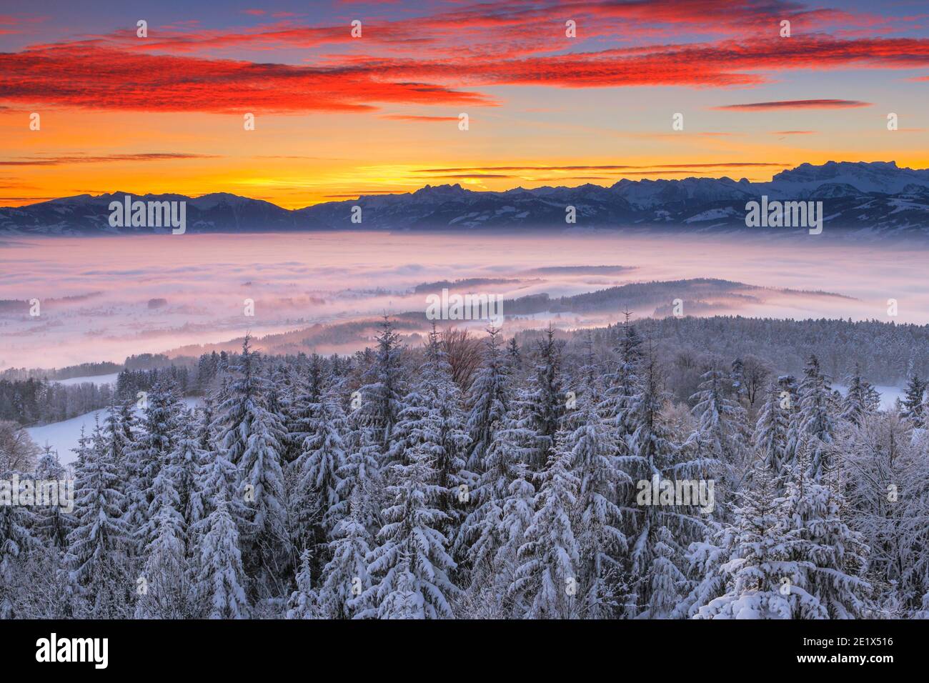 Zürcher Oberland mit Blick auf Murtschenstock und Glaernisch, Zürcher Oberland, Schweiz Stockfoto