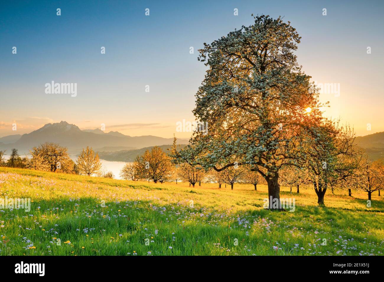 Blick auf Pilatus und den Vierwaldstättersee, Schweiz Stockfoto