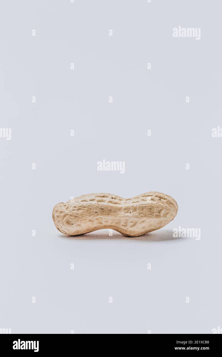 Erdnuss auf weißem Hintergrund Stockfoto