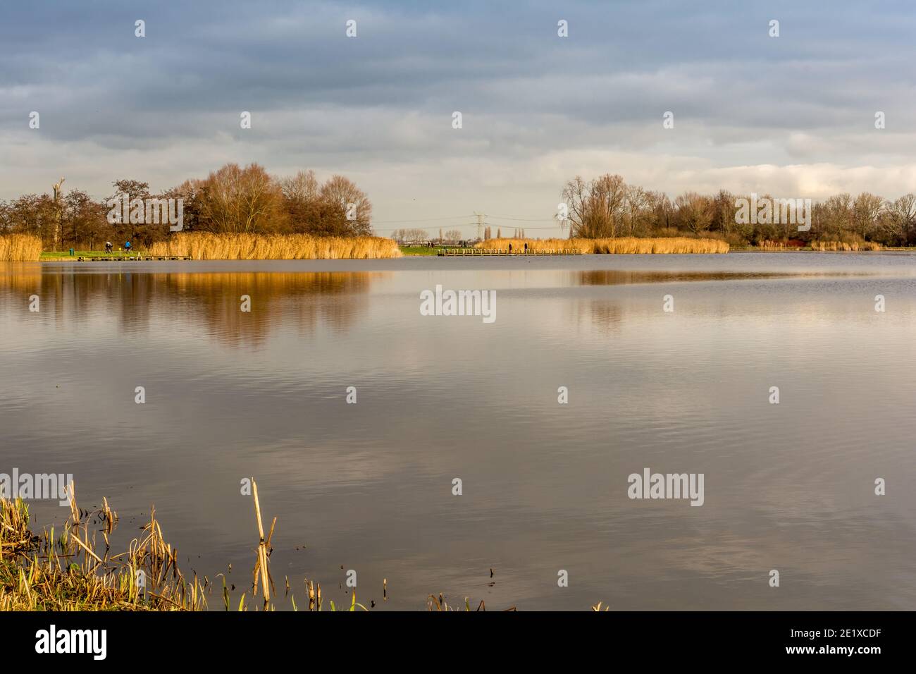Rottemeren Stockfoto