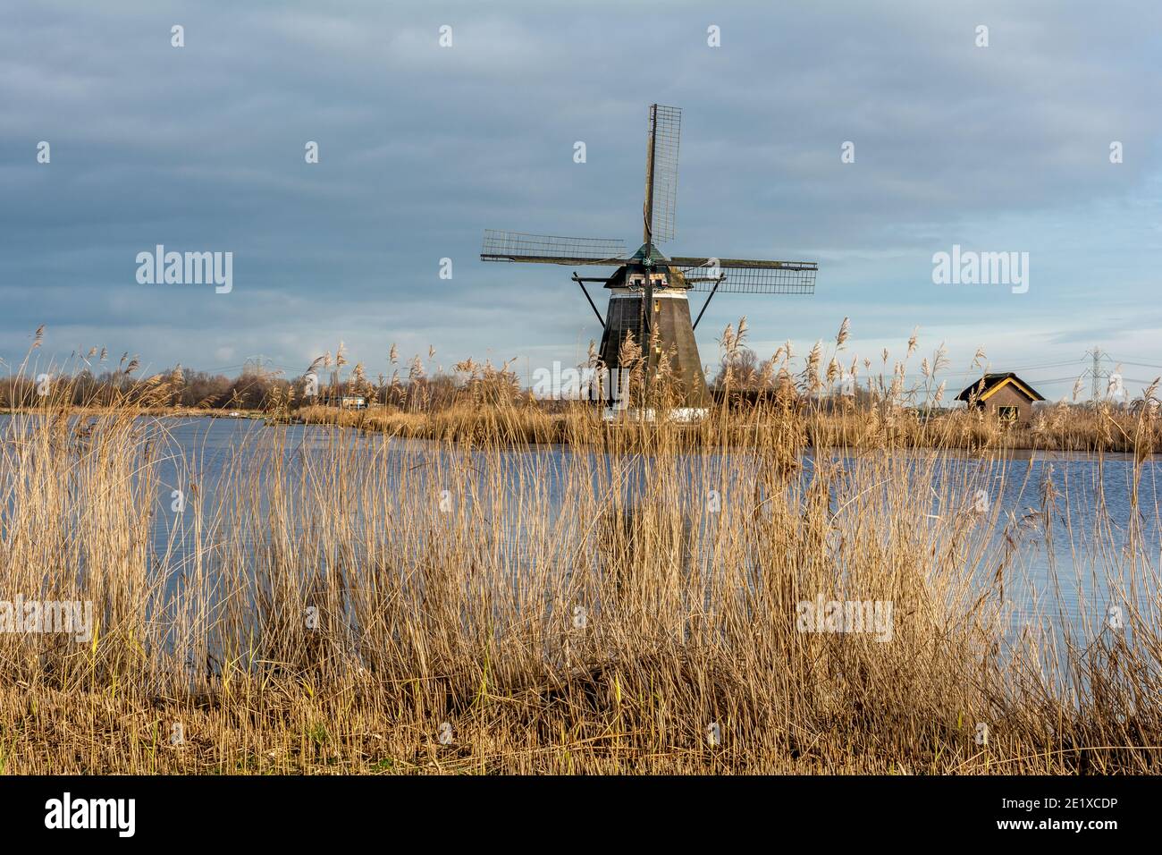 Rottemeren Stockfoto