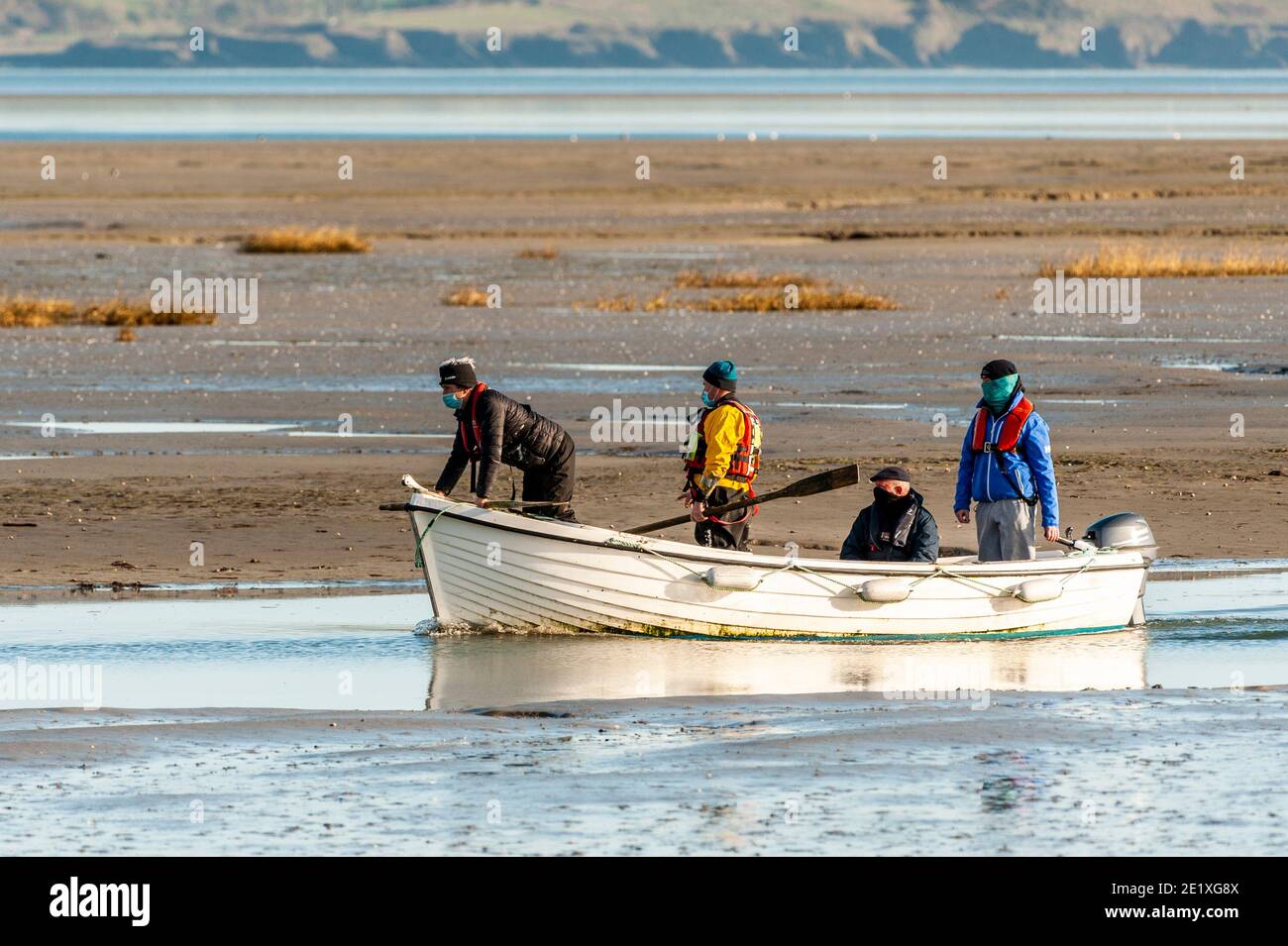 Courtmacsherry, West Cork, Irland. Januar 2021. Ein junger Delphin wurde heute in Courtmacsherry gestrandet, nachdem er von einer Schote von etwa 50 Tieren getrennt wurde. Stuart Russell, ein Freiwilliger beim RNLI Rettungsboot von Courtmacsherry, hat den Delphin auf See gebracht, wo er hoffentlich überleben wird. Ein Boot mit Anwohnern segelte aus, um bei der Delphinrettung zu helfen. Quelle: AG News/Alamy Live News Stockfoto