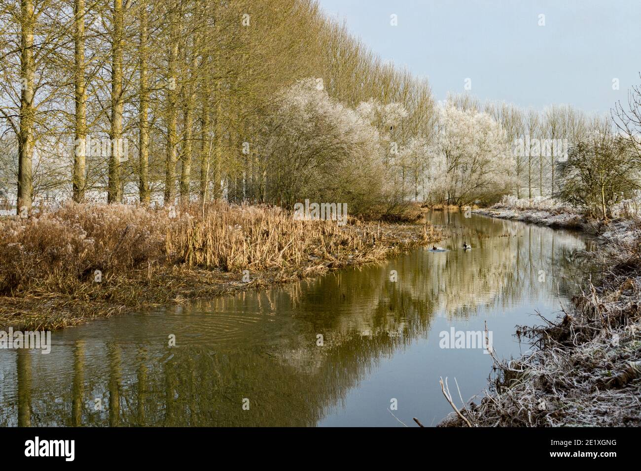 Frostigen Fluss Stockfoto