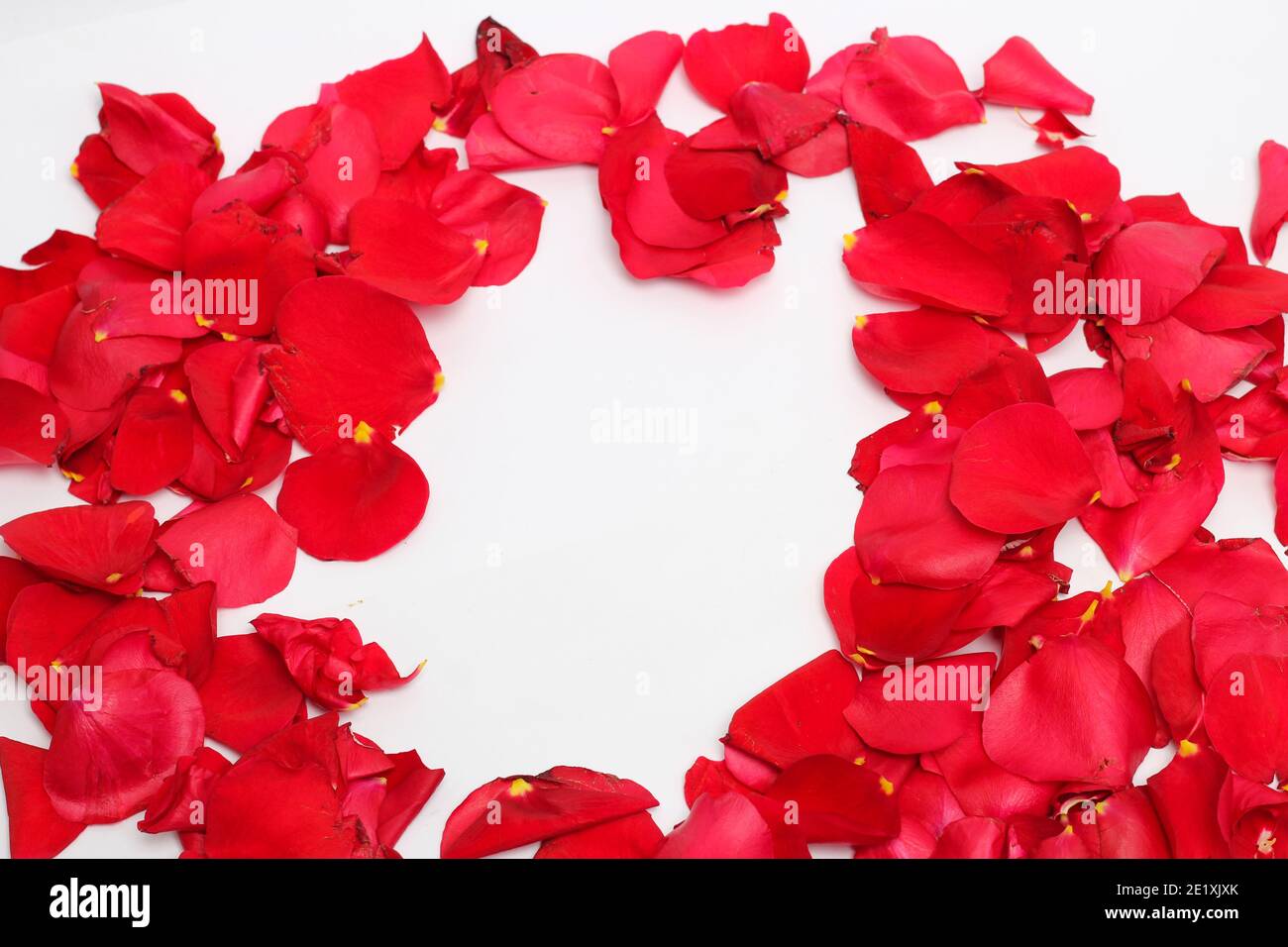 Valentinstag. Blumenzusammensetzung. Runder Rahmen aus Rosenblüten Stockfoto