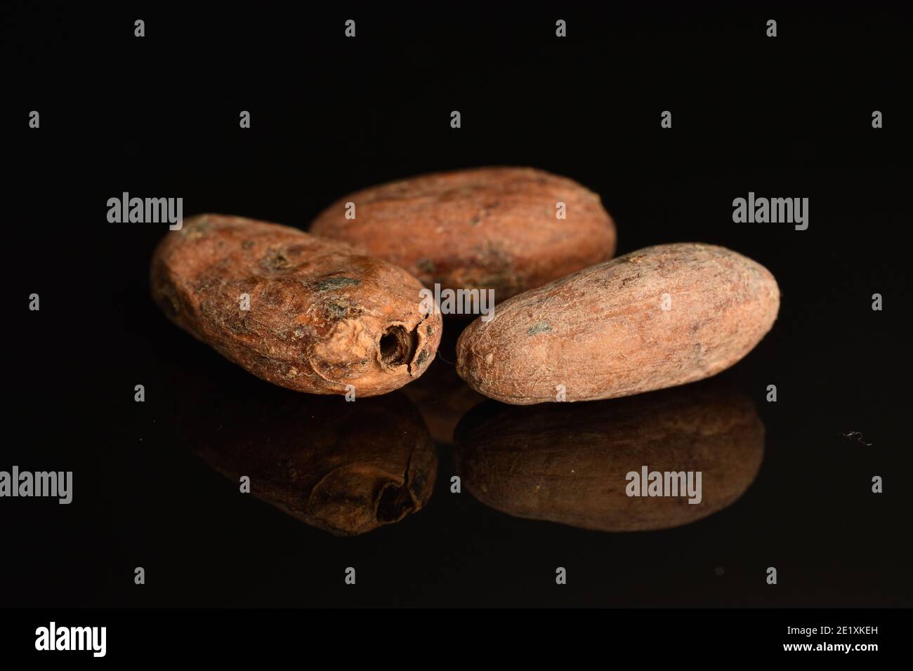 Drei braune ganze fragile gebratene Kakaokörner auf einem schwarzen Hintergrund Stockfoto
