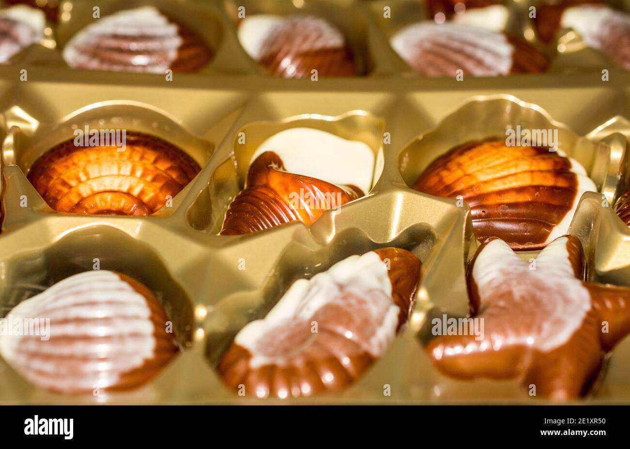 Belgische Schokolade Bonbons Seashells. Beste Qualität Stockfoto