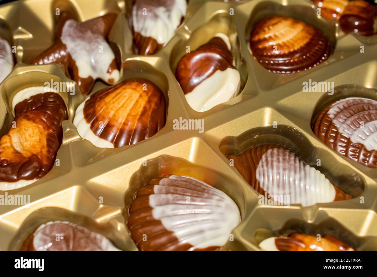 Belgische Schokolade Bonbons Seashells. Beste Qualität Stockfoto