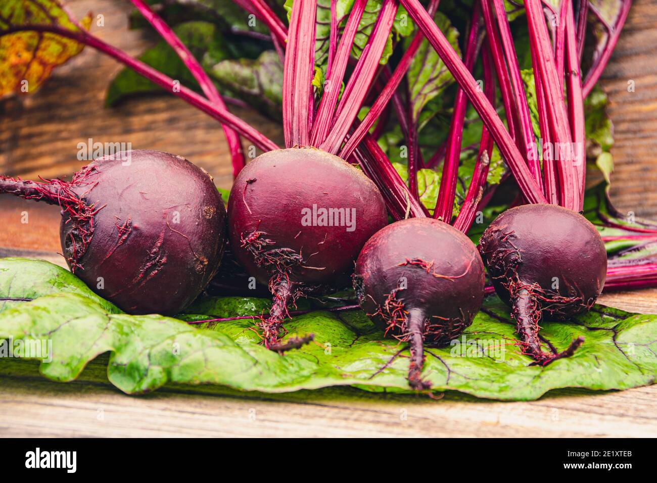 Rote Bete Knollen mit grünen Blättern auf Holztisch. Zubereitung von frischem Salat. Frisches Gemüse für vegetarische Küche. Rüben auf dem Straßenmarkt. Stockfoto
