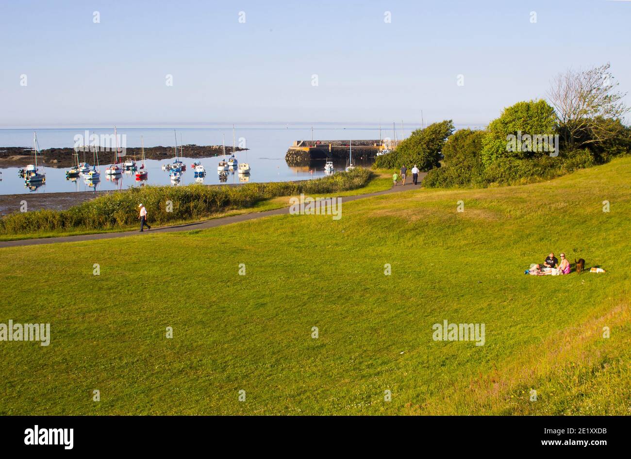 Besucher entspannen sich im Grünen mit Blick auf den Hafen und den Yachthafen In der Grafschaft Down Dorf Groomsport auf einem angenehmen Sommernachmittag Stockfoto