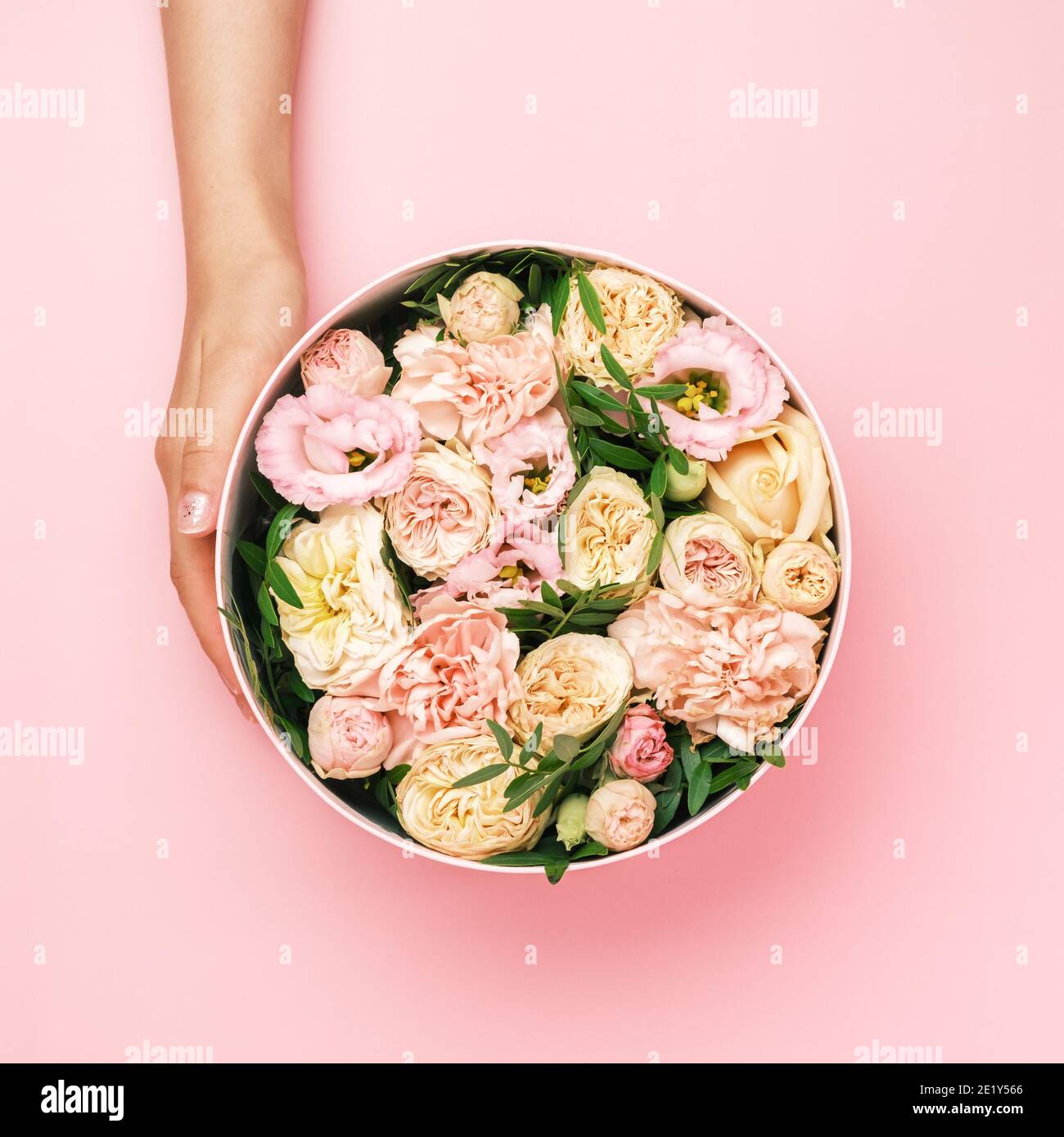 Florist hält einen Hut runde Box mit floralen Komposition auf einem rosa Hintergrund mit Copy Space. Geschenkbox für 8. März, Valentinstag, Muttertag Stockfoto