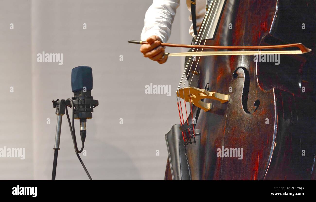 Kontrabass-Kontrabass-Spieler vor dem Mikrofon Stockfotografie - Alamy
