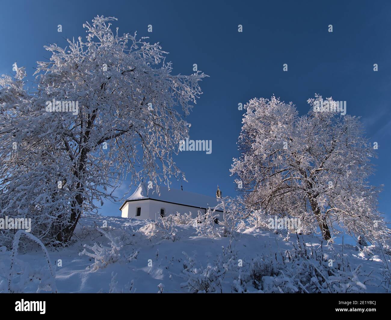 Flachwinkelansicht der Gipfel des Kornbühlhügels bei Burladingen, Schwäbische Alb, Deutschland mit verschneiten historischen Kapelle Salmendinger Kapelle im Winter. Stockfoto