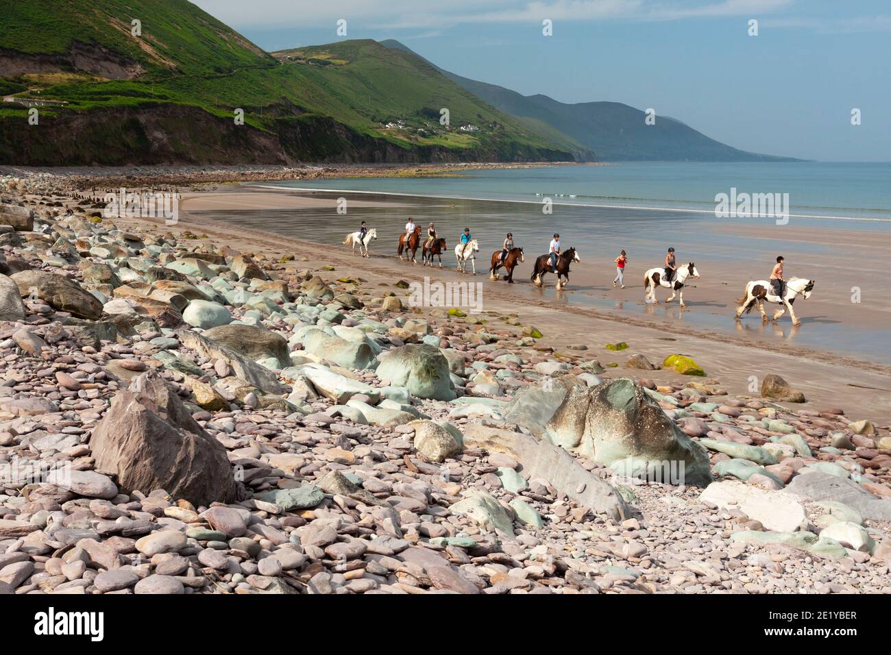 Touristen und Pferdereiten wandern am Rossbeigh Strand auf dem Wild Atlantic Way auf dem Ring of Kerry in Irland. Stockfoto