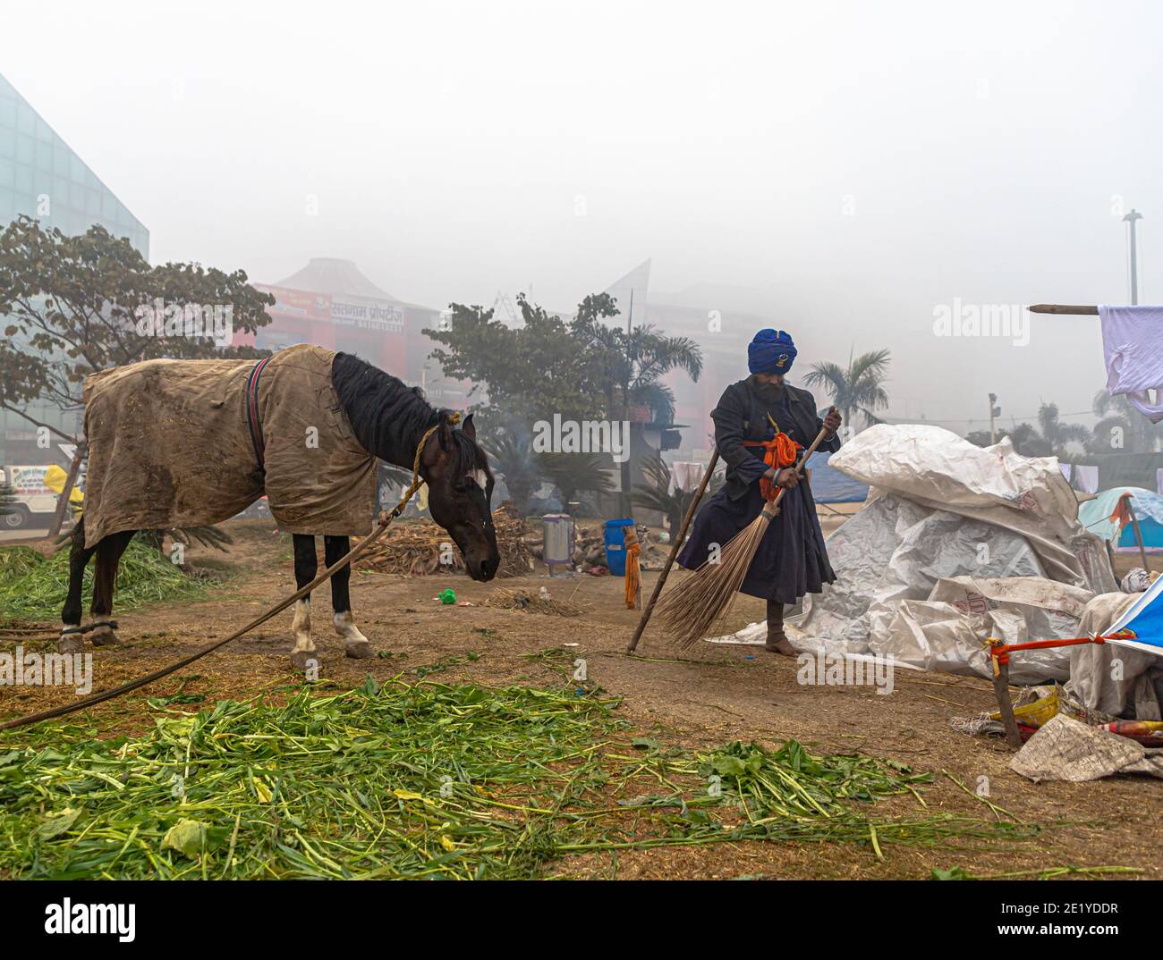 PORTRÄT VON NIHANG SIKH MIT SEINEM PFERD AN DER GRENZE ZU DELHI PROTESTIEREN SIE GEGEN DAS NEUE AGRARGESETZ DER INDISCHEN REGIERUNG. Stockfoto