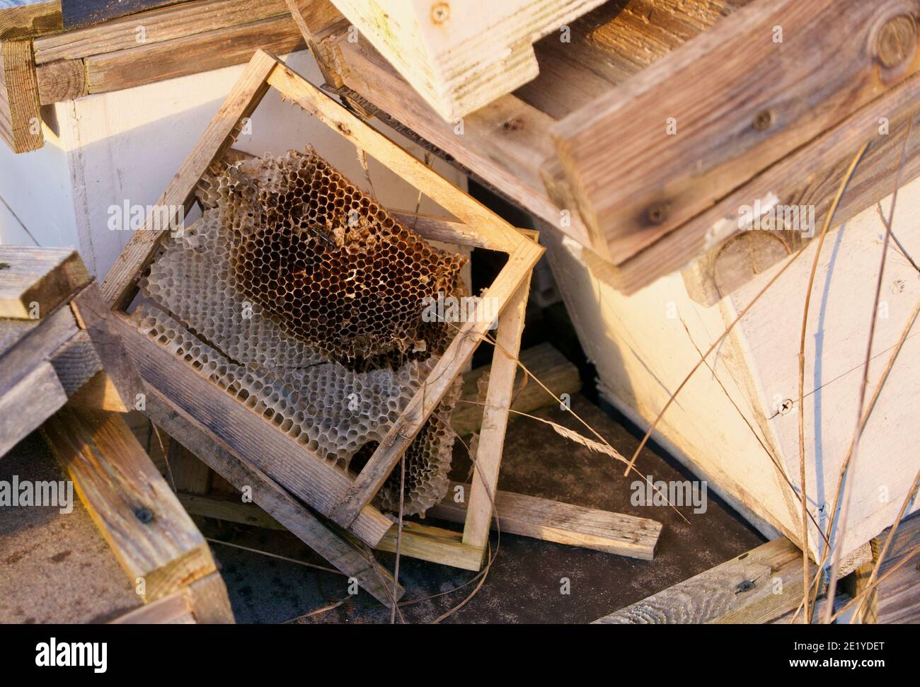 Verschiedene Auswahl an Imkereizubehör und einige handgefertigte Holzrahmen Stockfoto