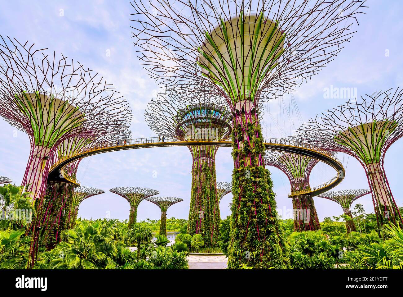 Tropische Blumenkletterer werden auf den Supertrees im Marina Gardens Drive gepflanzt. Der Naturpark erstreckt sich über 101 Hektar. Singapur. Stockfoto
