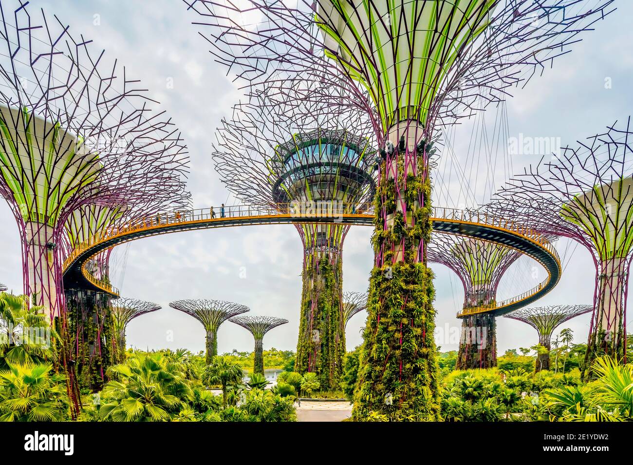Tropische Blumenkletterer werden auf den Supertrees im Marina Gardens Drive gepflanzt. Der Naturpark erstreckt sich über 101 Hektar. Singapur. Stockfoto