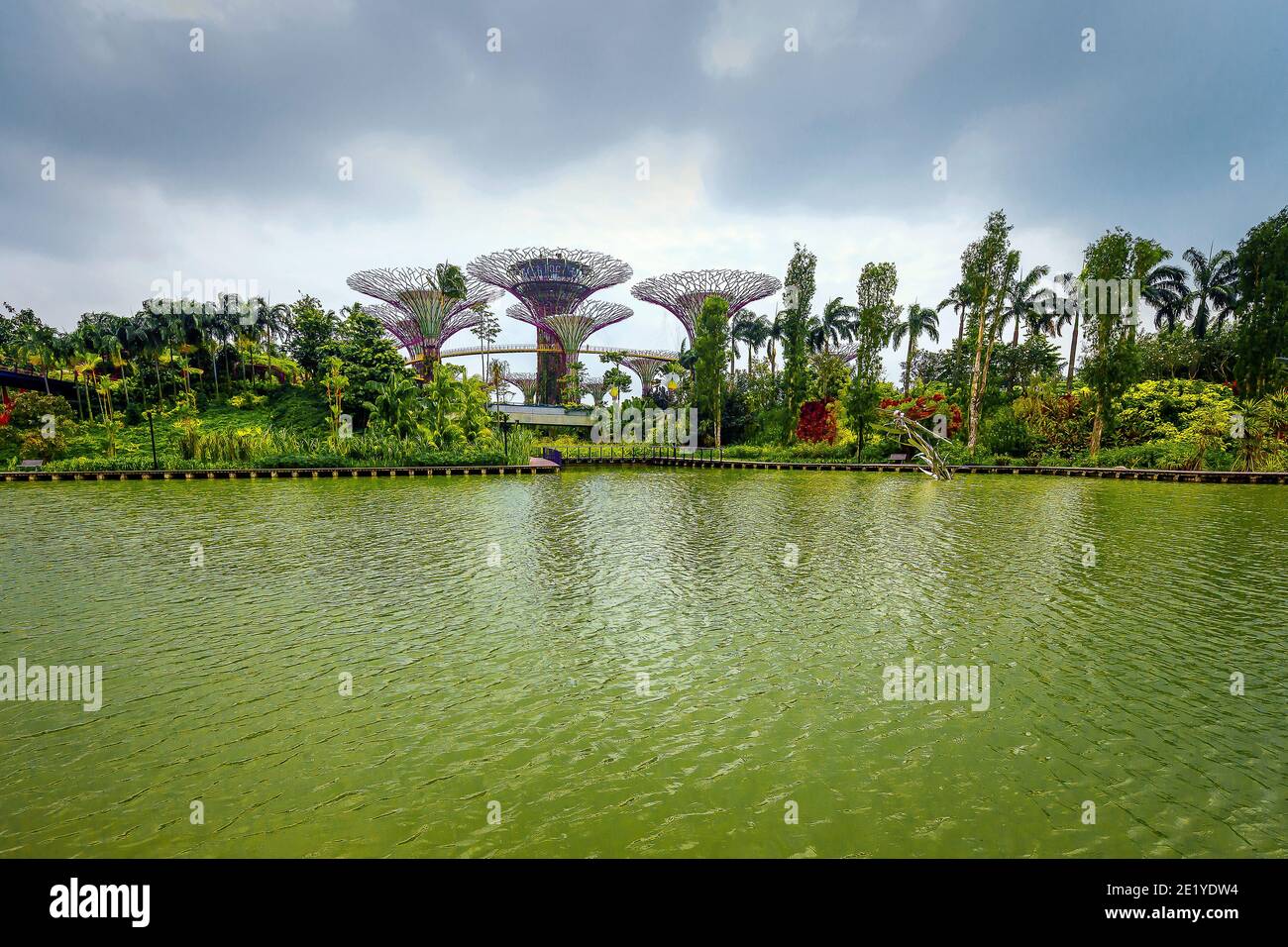 Tropische Blumenkletterer werden auf den Supertrees im Marina Gardens Drive gepflanzt. Der Naturpark erstreckt sich über 101 Hektar. Singapur. Stockfoto