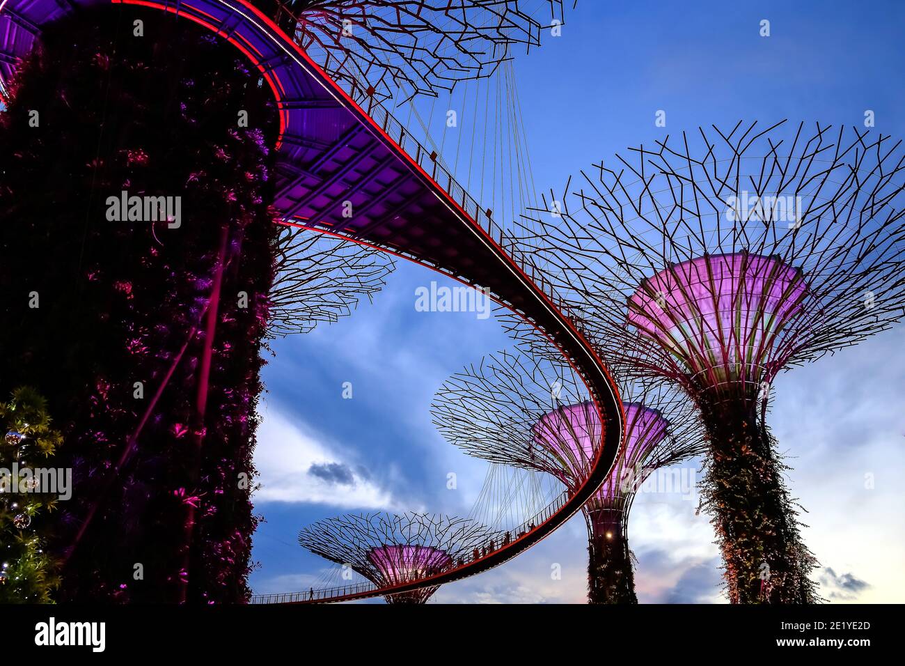 Garden Rhapsody. Marina Gardens Drive bei Nacht. Singapur. Stockfoto