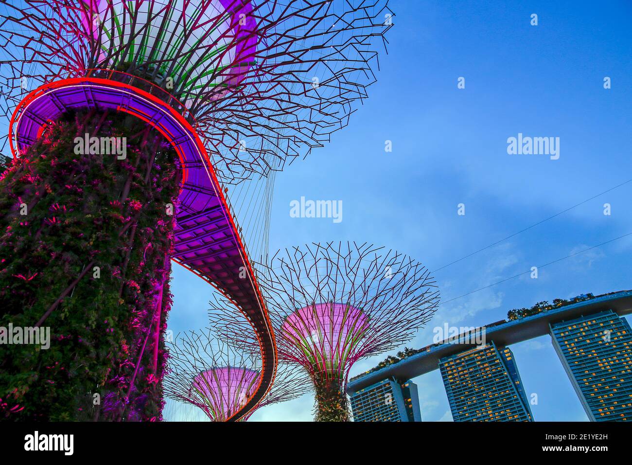 Garden Rhapsody. Marina Gardens Drive bei Nacht. Singapur. Stockfoto