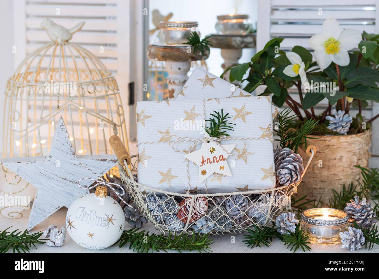 weihnachtsdekoration mit weihnachtsgeschenken, helleborus niger und Kerzenlicht Stockfoto