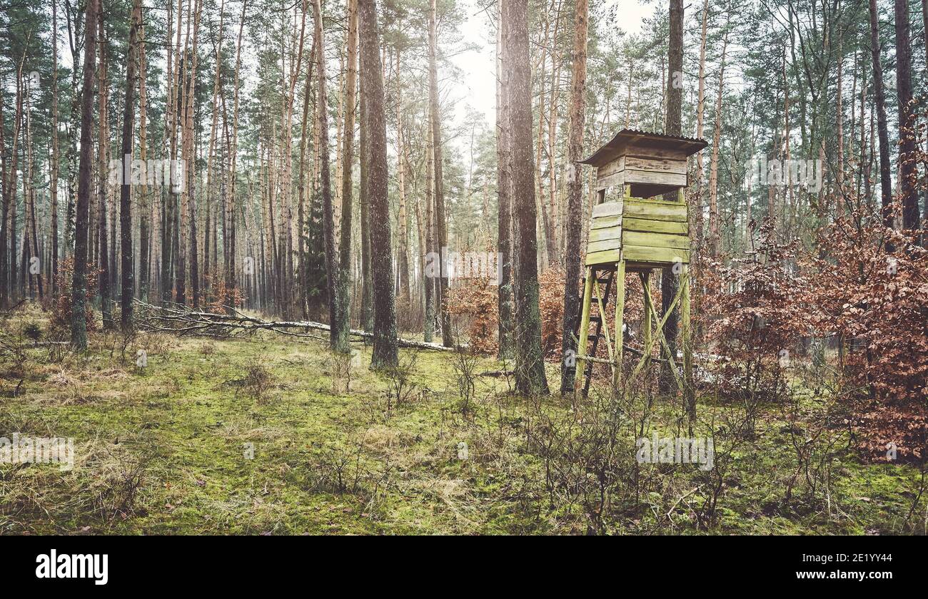 Hölzerner Hirschjagdturm im Wald, Farbtonierung angewendet. Stockfoto