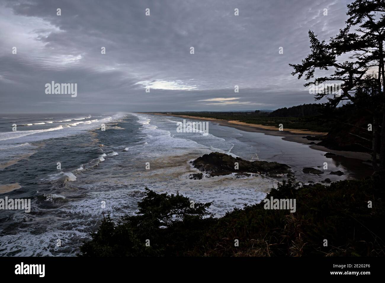 WA19075-00...WASHINGTON - Long Beach vom Bell's Trail aus gesehen im Cape Disappointment State Park. Stockfoto