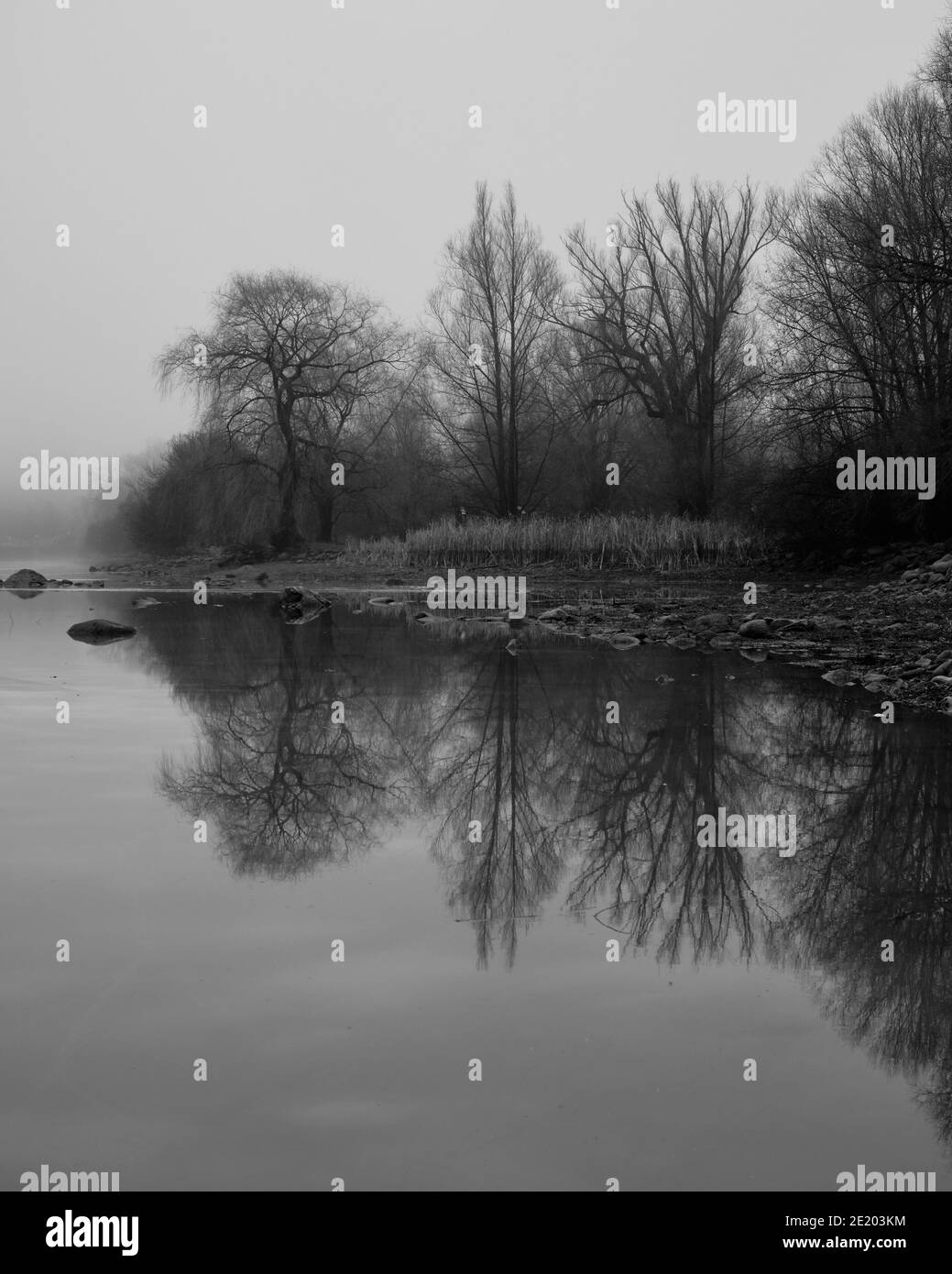 Moody nebligen Winter Morgen Szene von blattlosen Bäumen durch ein Felsstrand See Reflexion im Wasser Stockfoto