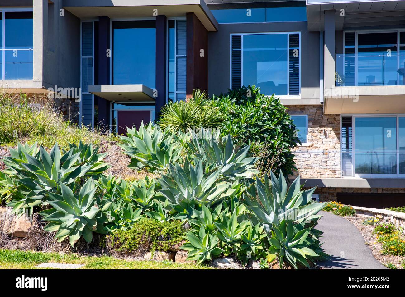 Sydney Haus mit Vorgarten einschließlich Agaven und Sukkulenten, Sydney Nord Strände, NSW, Australien Stockfoto