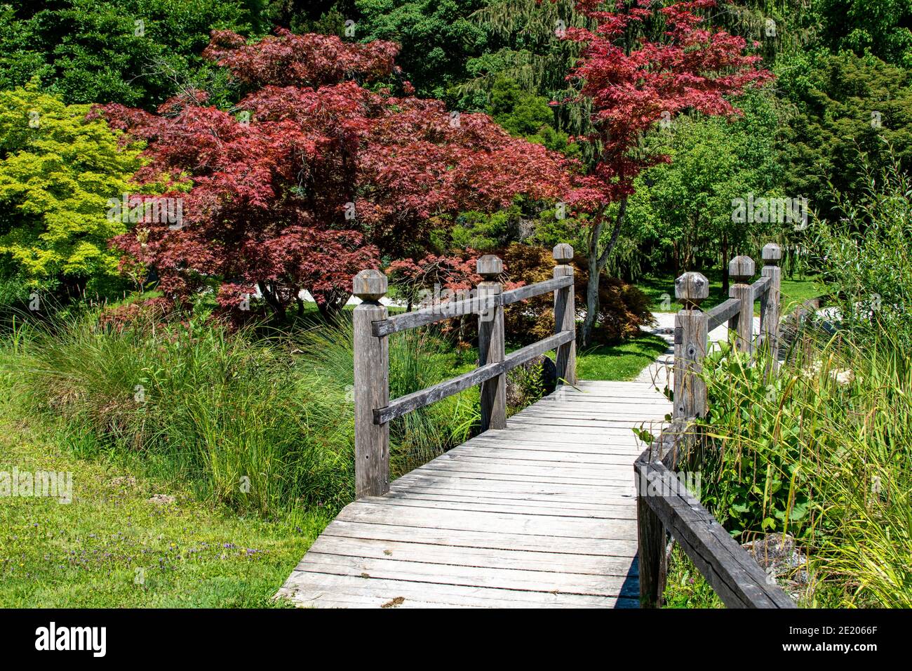 Holzbrücke im botanischen Garten Volcji potok, Arboretum, Kamnik, Slowenien Stockfoto