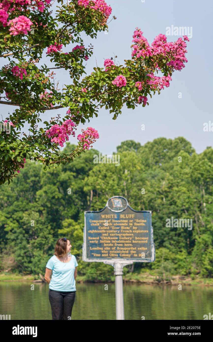 Alabama Demopolis Tombigbee River Water, Frau weiblich historischen Marker Crepe Myrtle White Bluff, Stockfoto