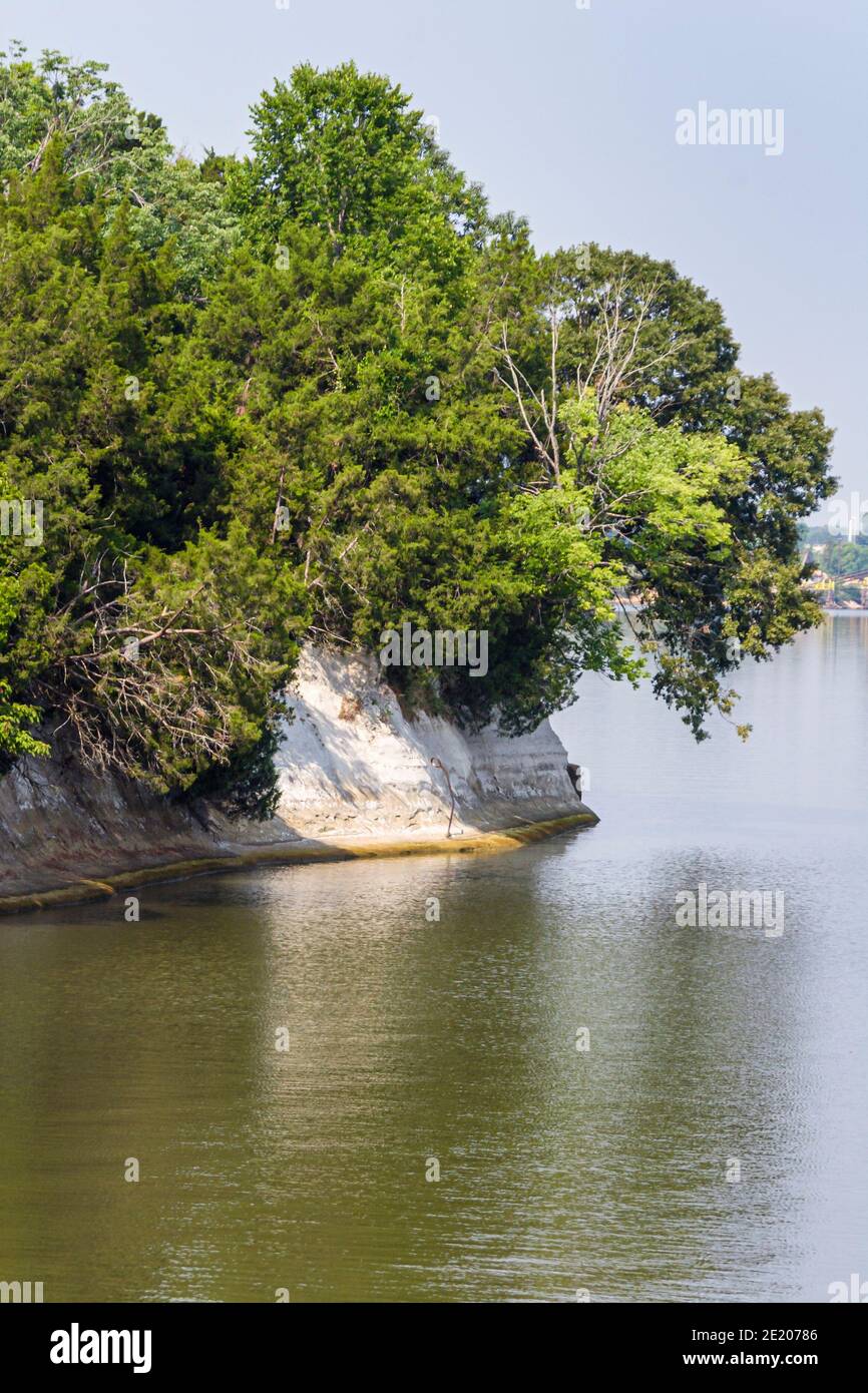 Alabama Demopolis Tombigbee River Water, White Bluff Selma Chalk, Stockfoto