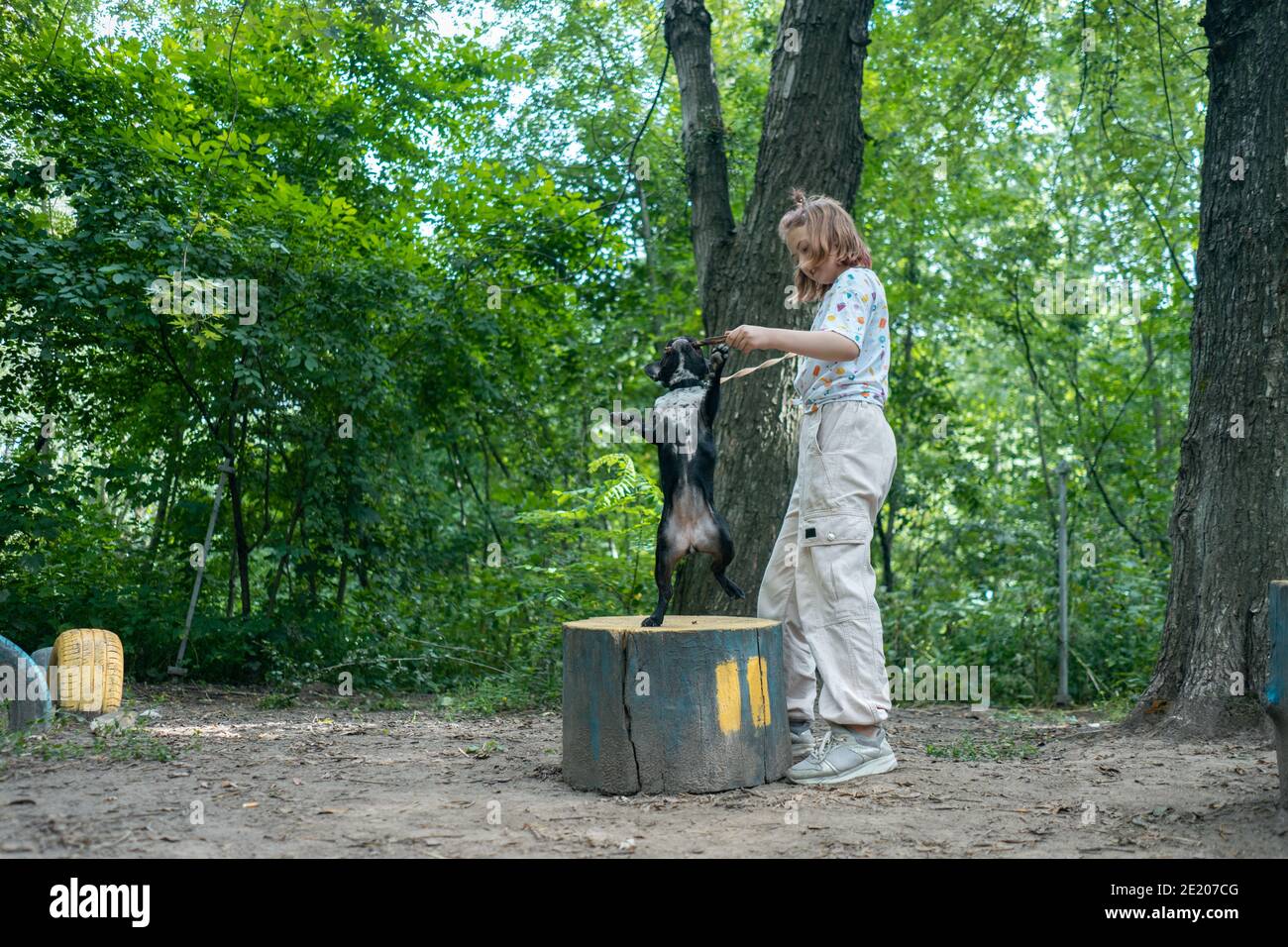 Kind spielen und trainieren französisch Bulldogge oder Welpe mit Stock Auf dem Spielplatz im Park Stockfoto