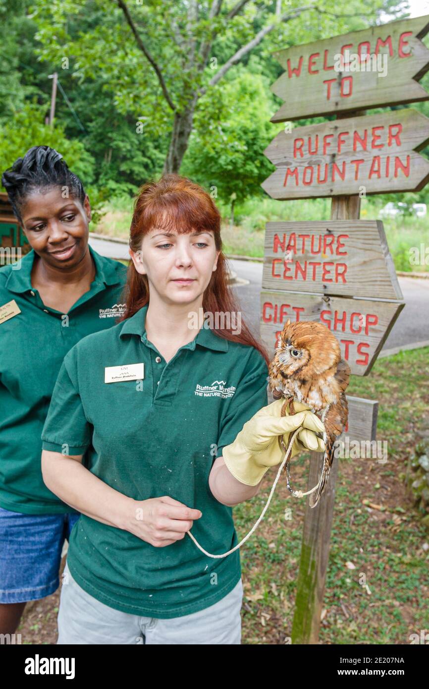 Birmingham Alabama, Ruffner Mountain Nature Center, Frau weibliche Tierhandlerin kreische Eule Schwarze Frauen, Stockfoto