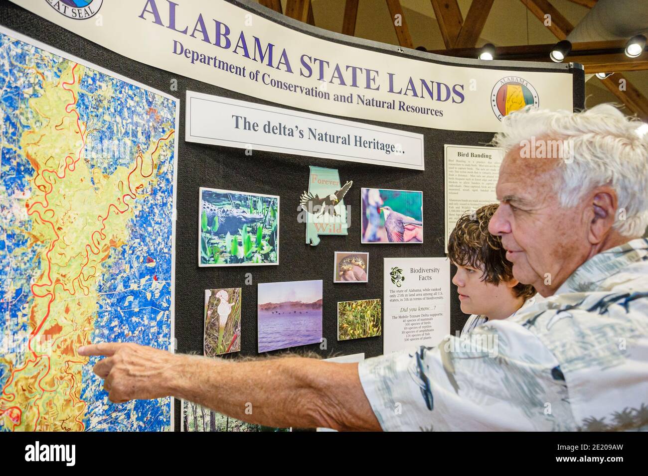 Alabama Spanish Fort 5 Flussgebiet Alabama Delta Resource Center, Ausstellung Senior man Karte zeigt, Stockfoto
