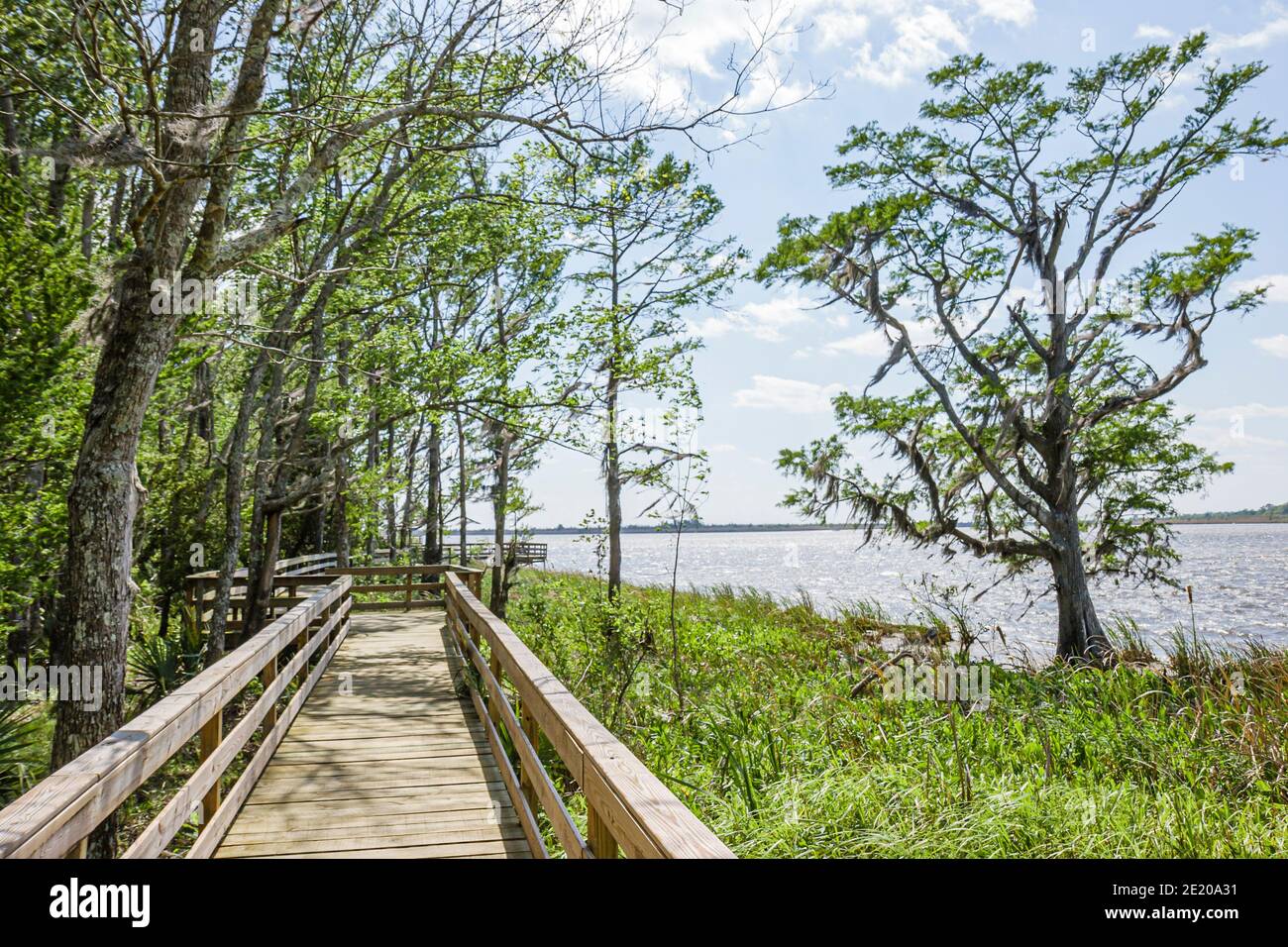 Alabama Historic Blakeley State Park Tensaw River Nature Boardwalk, Stockfoto