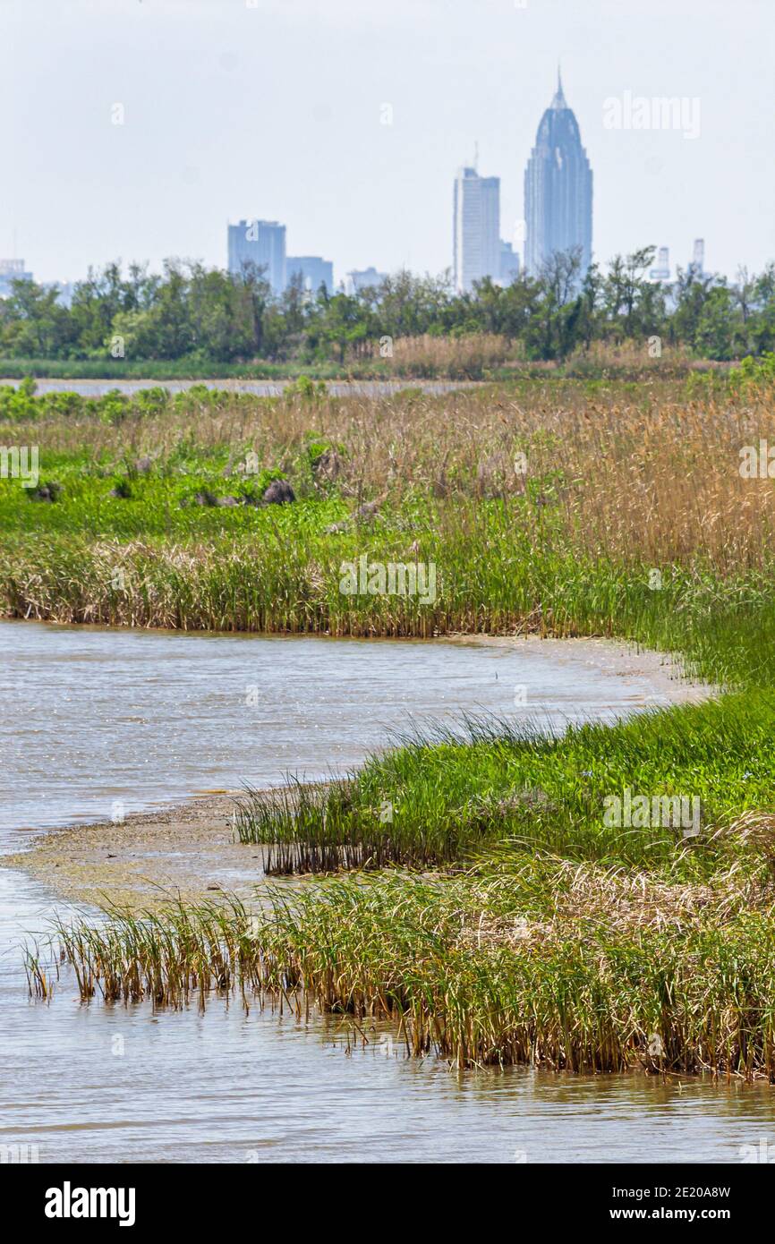 Alabama Spanish Fort 5 Flussgebiete Alabama Delta Resource Center Center, Feuchtgebiete Mobile Bay City Skyline, Stockfoto