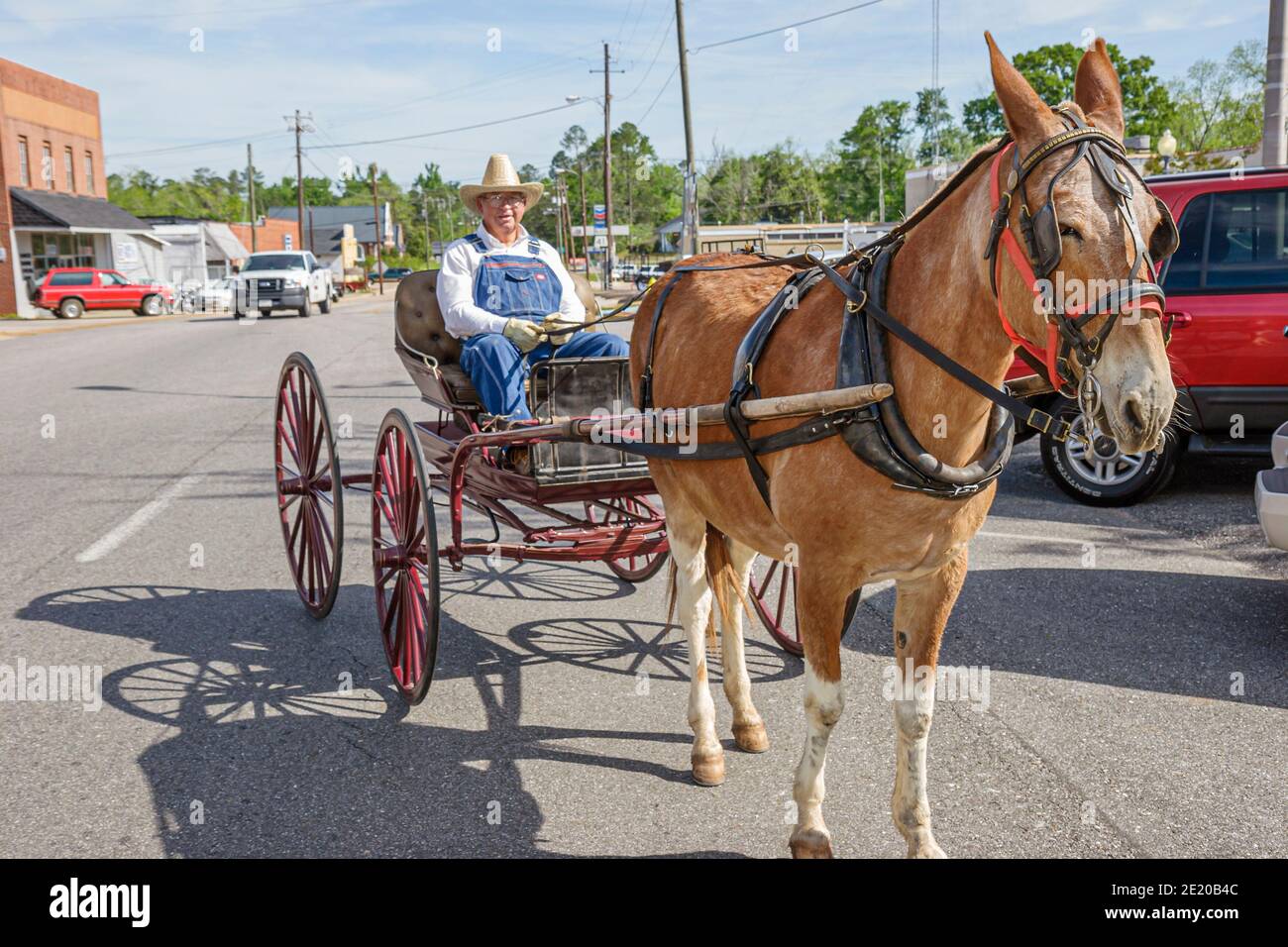 Alabama Monroeville Courthouse Square Maultier gezogene Kutschfahrt, Senior man Fahrer bietet Fahrten an, Stockfoto