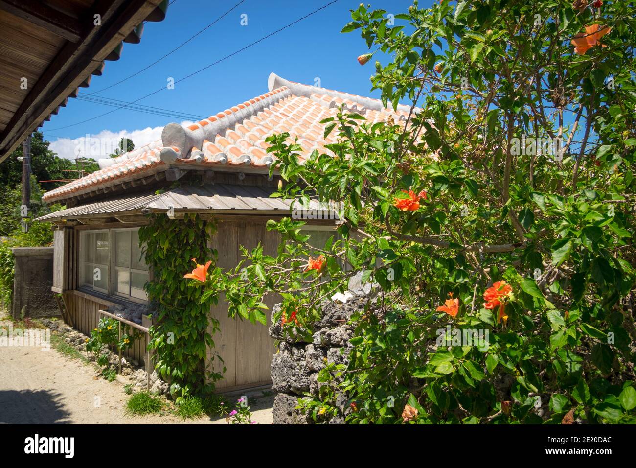 Ein traditionelles Okinawan Haus (Ryukyuan Haus) mit ausgeprägten Terrakotta roten Dachziegeln. Taketomi Dorf, Taketomi, Yaeyama Inseln, Okinawa, Japan. Stockfoto