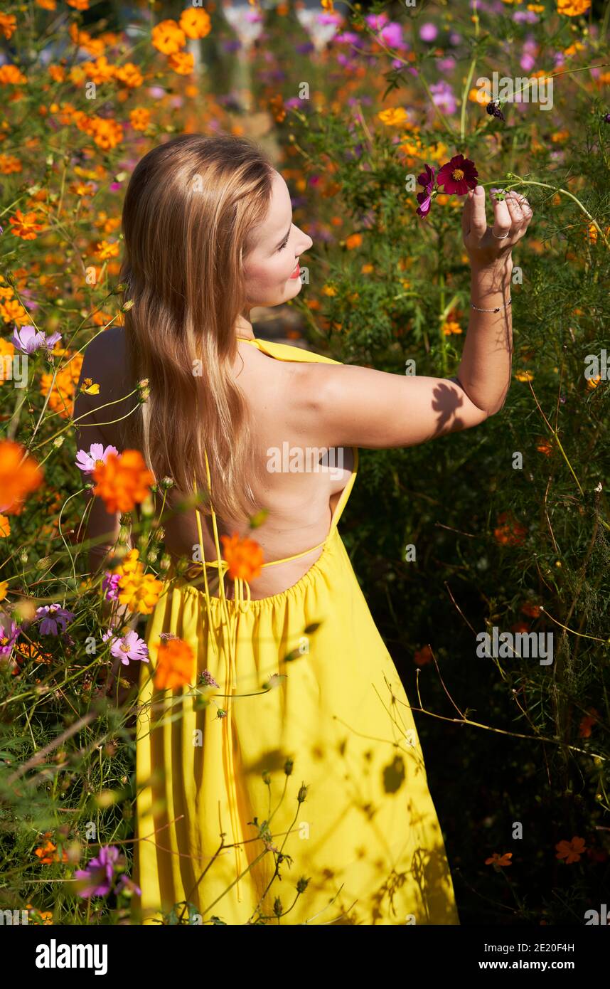 Schönes Modell in einem Feld voller Blumen halten und riechen. Stockfoto