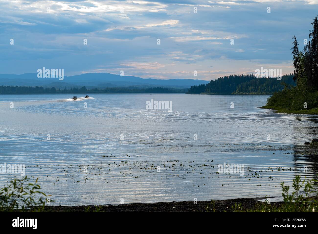 Motorboote auf dem McLeod Lake im Whiskers Point Provincial Park in British Columbia, Kanada Stockfoto