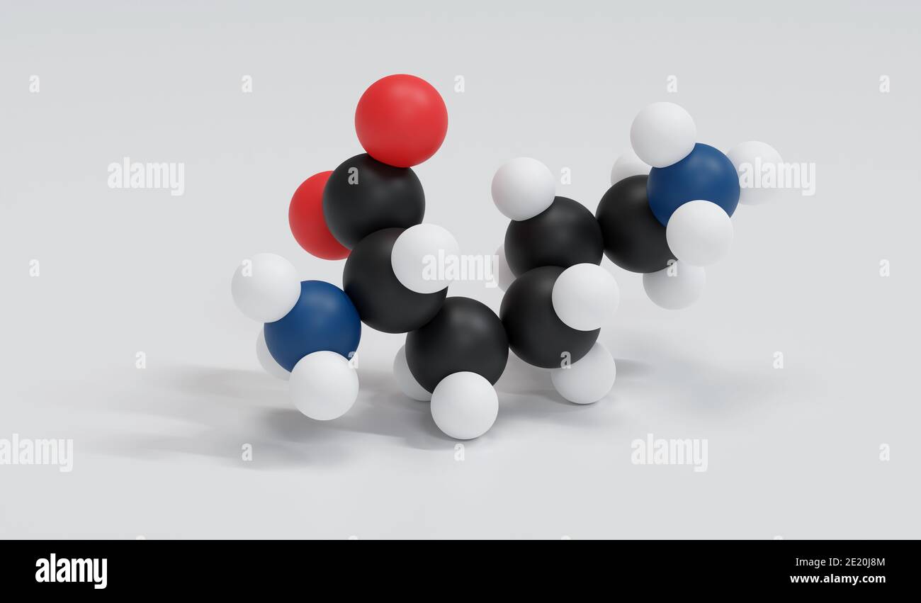 Lysin (L-Lysin, Lys, K) Aminosäuremolekül. 3D-Rendering. Atome werden als Kugeln mit herkömmlicher Farbkodierung dargestellt: Wasserstoff weiß, Kohlenstoff schwarz, Stockfoto