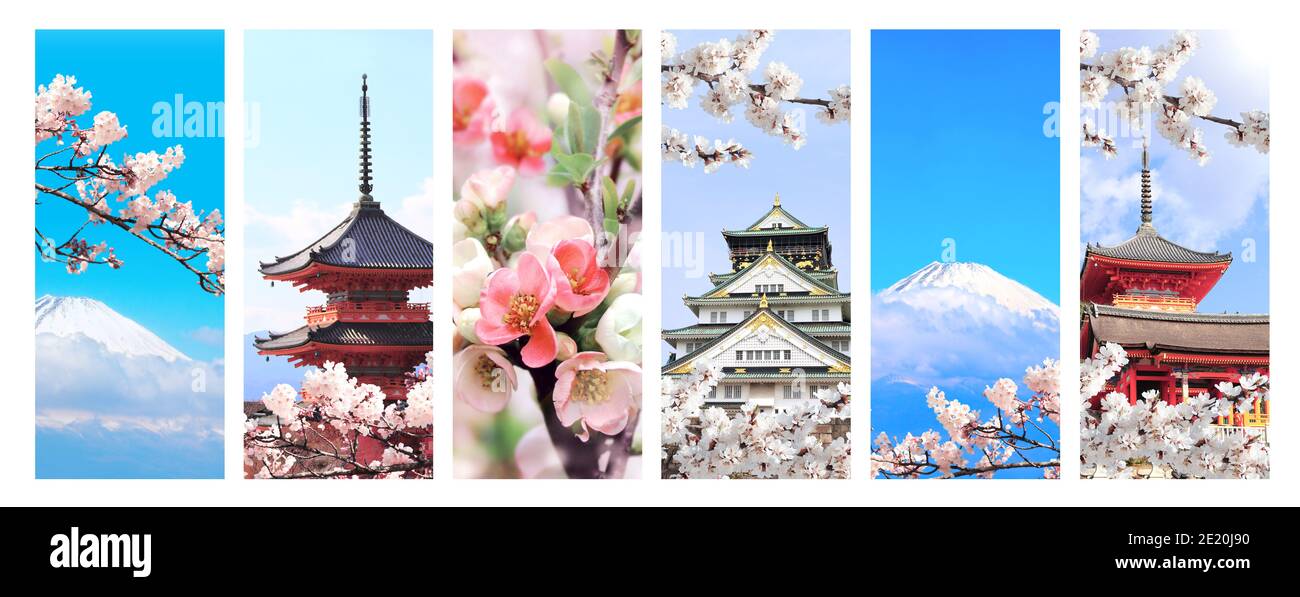 Hanami-Festival. Sakura-Blütezeit in Japan. Set von vertikalen Bannern mit Wahrzeichen von Japan. Der heilige Berg Fuji (Fujiyama), alter Pavillon in Fu Stockfoto