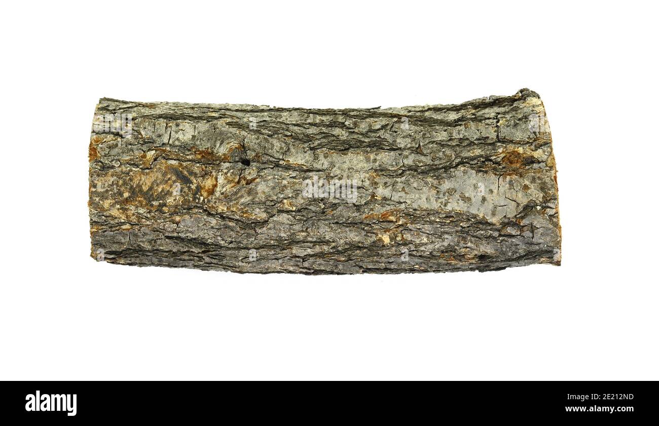 Brennholz isoliert auf weiß. Eiche Log isoliert auf einem weißen. Holz aus Holzfeuer isoliert auf weißem Hintergrund mit Schnittpfad. Holz veraltetes Holz. Stockfoto