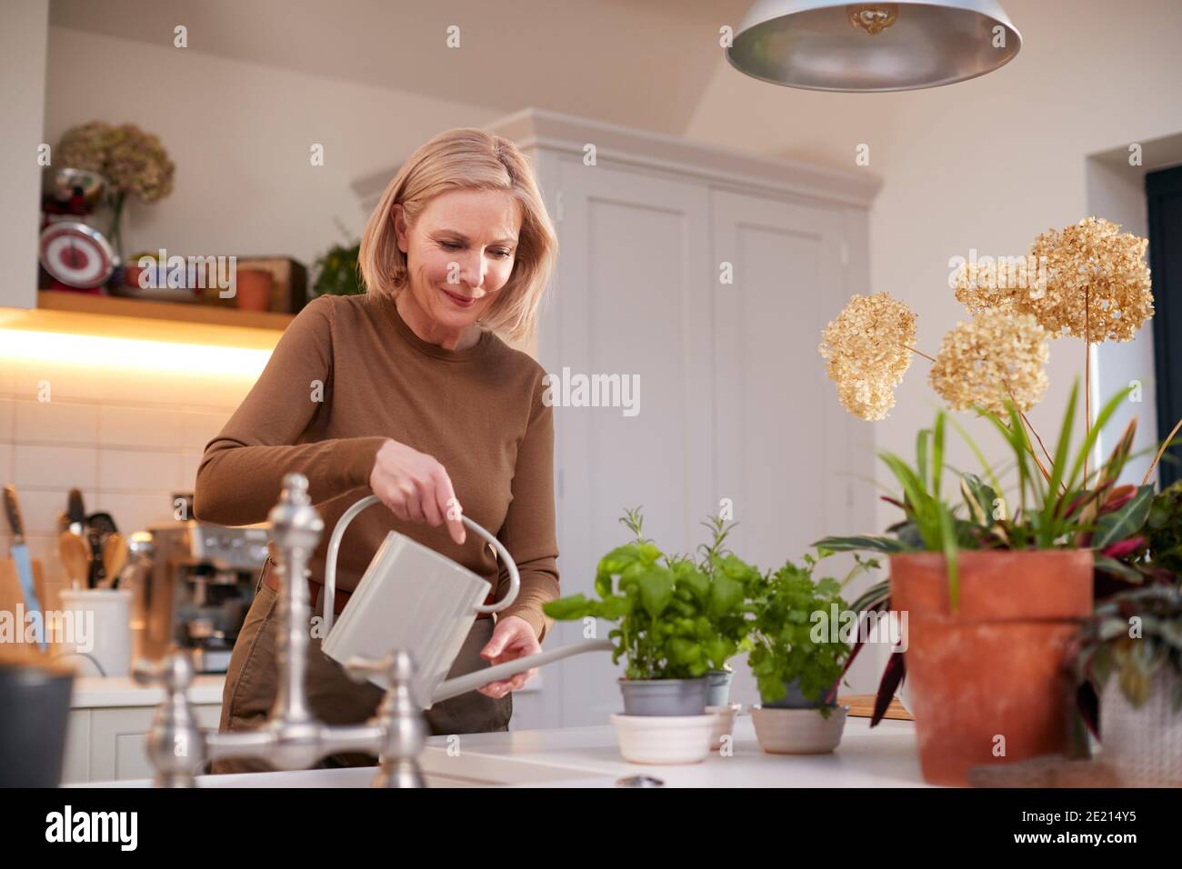 Reife Frau Bewässerung Und Pflege Für Zimmerpflanzen In Küche Bei Zu Hause Stockfoto